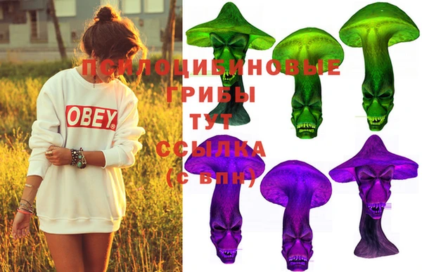 бошки Верхний Тагил