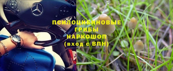 герыч Верея